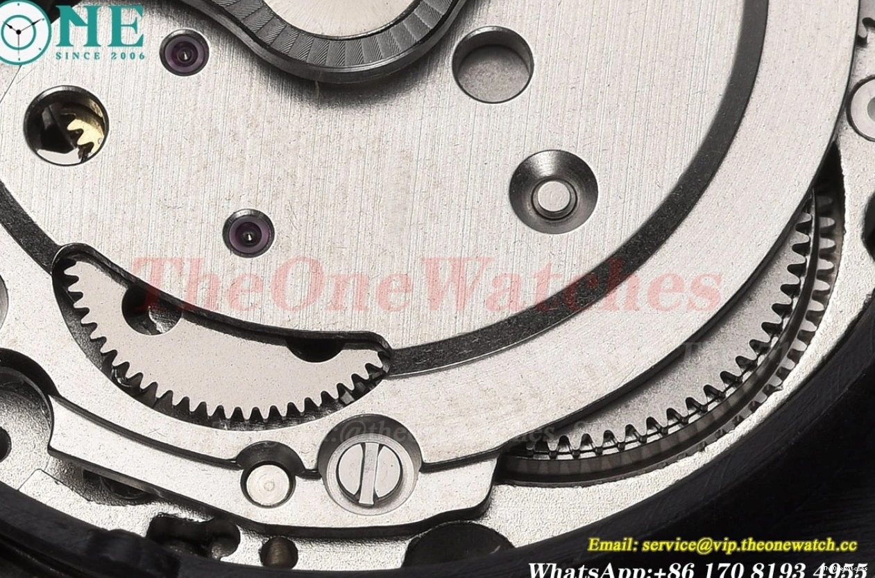 GDF Black 43mm 600m SS Seamaster SS Stk MY8215 0306